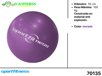 BALONES DE PILATES  - PELOTA PARA GIMNASIA FL17-002