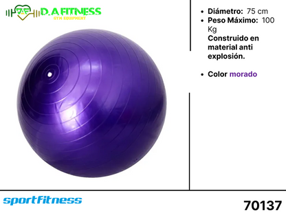 BALONES DE PILATES  - PELOTA PARA GIMNASIA FL17-002