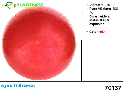 BALONES DE PILATES  - PELOTA PARA GIMNASIA FL17-002