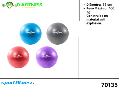 BALONES DE PILATES  - PELOTA PARA GIMNASIA FL17-002